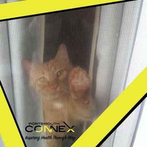 Meet your Posher, Toni